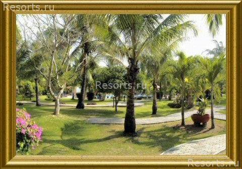 Patong Bayshore Hotel 13